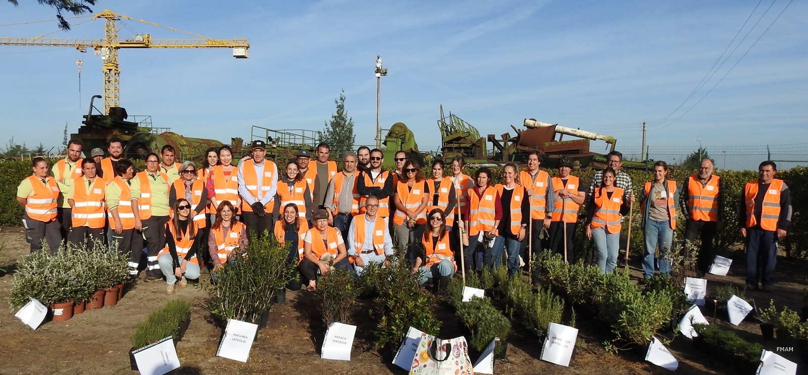 Ação de voluntariado promovida pela Fundação com a plantação de microfloresta em Porto Alto