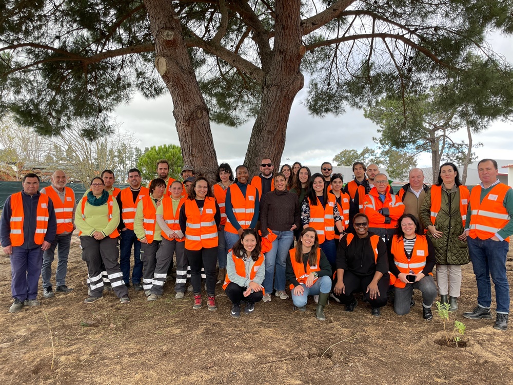 Segunda ação de voluntariado na Casa do Lago em Porto Alto